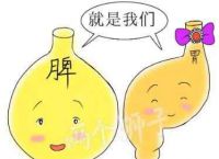 什么是脾胃不和