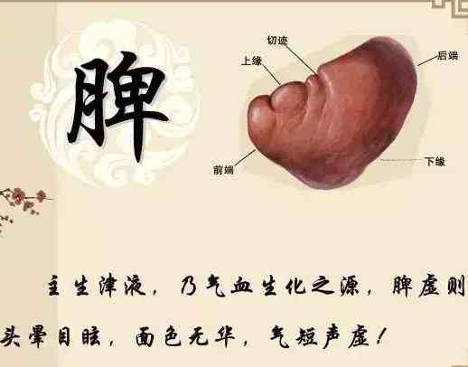 每天给孩子补锌补铁补钙 补这补那 不如好好调理好孩子的脾胃.jpg