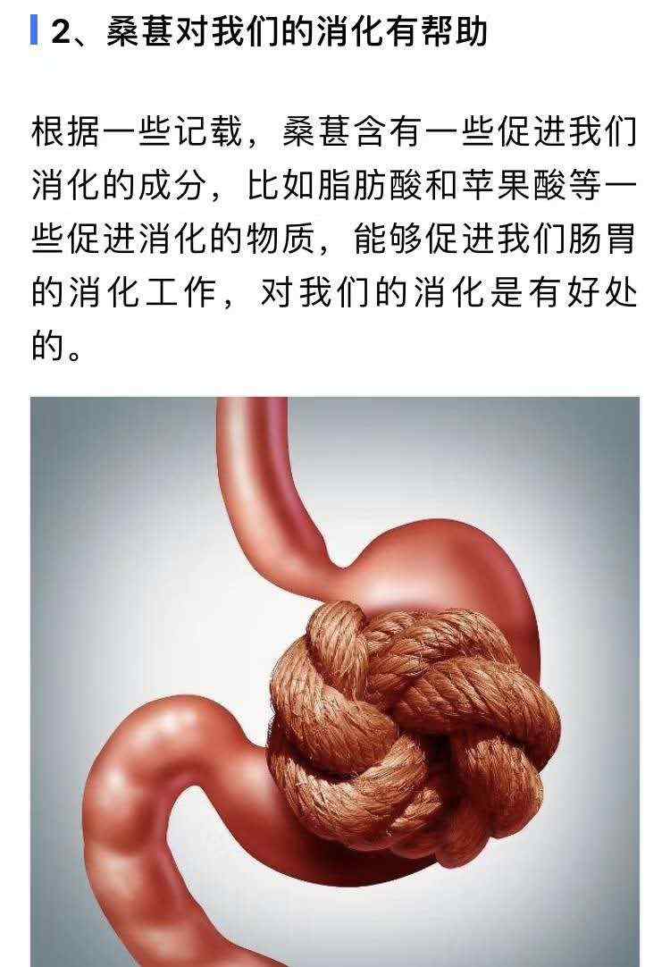 桑葚膏的功效与作用2.jpg