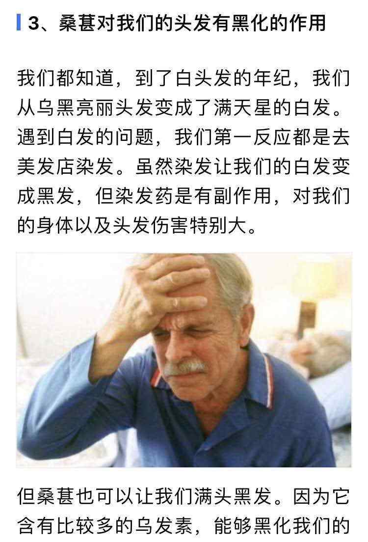 桑葚膏的功效与作用3.jpg