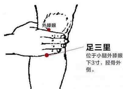 足三里穴.jpg