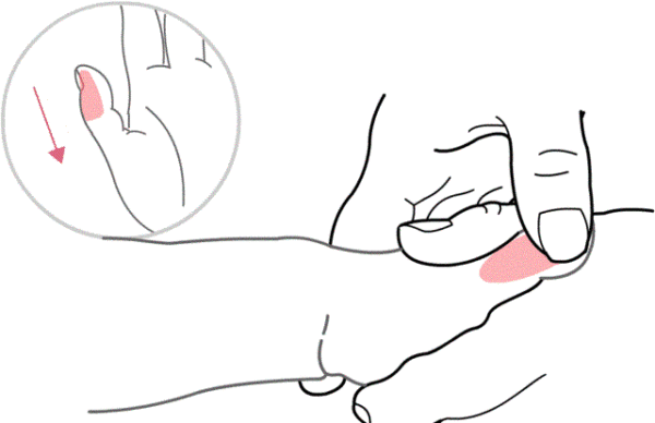 推脾经.gif 推脾经.gif