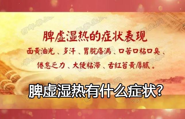 脾虚湿热有什么症状.jpg