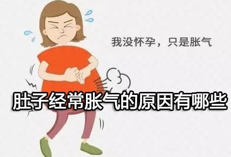 肚子经常胀气的原因有哪些