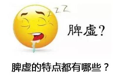 脾虚的特点都有哪些?.jpg 脾虚的特点都有哪些?.jpg