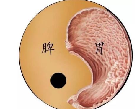 如何改善脾胃虚弱.jpg 如何改善脾胃虚弱.jpg