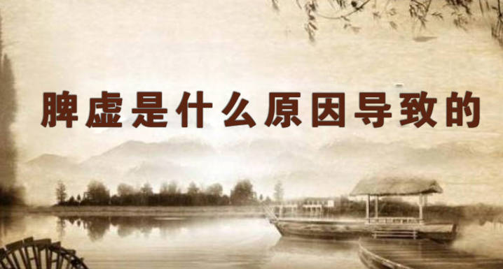 脾虚是什么原因导致的.jpg 脾虚是什么原因导致的.jpg