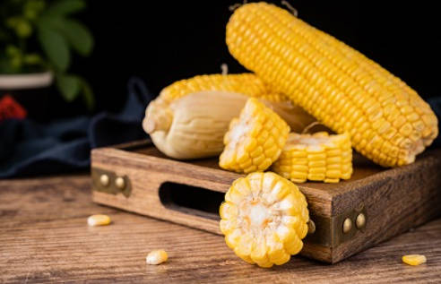 脾虚10大必吃食物有哪些你知道吗？.jpg
