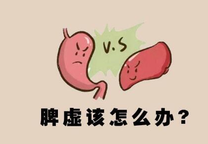 什么是脾虚呢?.jpg 什么是脾虚呢?.jpg