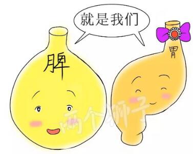 什么是脾胃不和呢?.jpg 什么是脾胃不和呢?.jpg